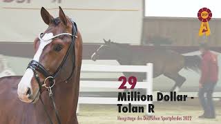 29 Million Dollar Tolan [upl. by Barret]