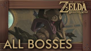 Zelda Breath of the Wild  All Bosses on MASTER MODE No Damage [upl. by Sivehc]