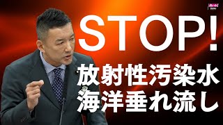 【STOP！放射性汚染水海洋垂れ流し】 れいわ新選組 山本太郎 参議院議員2023年6月15日 環境委員会 [upl. by Ettenahs700]