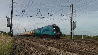 Bittern at 90mph  High Speed Steam Train [upl. by Annwahs617]