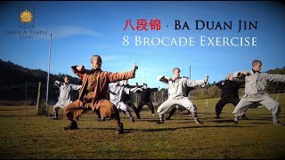 八段锦 · Ba Duan Jin 8 Brocade Exercise Qi Gong [upl. by Iago]