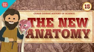 The New Anatomy Crash Course History of Science 15 [upl. by Anelehs]