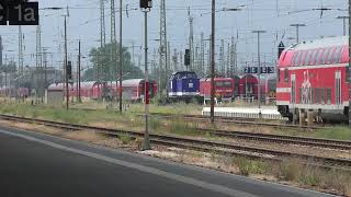 Züge in Cottbus Hbf [upl. by Meingoldas]