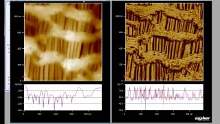 Celgard Sample tapping mode  Fast Scanning [upl. by Llertnad]