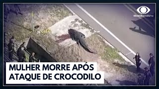 Mulher de 41 anos morre em ataque de crocodilo  Bora Brasil [upl. by Tsai621]