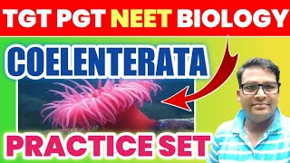 Coelenterata best MCQ  cnidaria mcq  TGT PGT LT GIC amp NEET Biology cnidariamcq coelenteratamcq [upl. by Addi547]