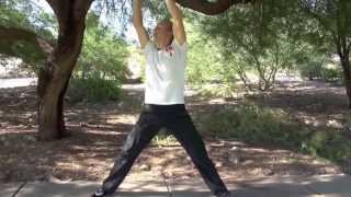 8 Simple Movements of Qigong for Beginners by Jake Mace [upl. by Lochner840]