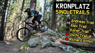 1A SINGLETRAILS DIE KAUM EINER KENNT  Mountainbiken am Kronplatz Südtirol [upl. by Ceil924]