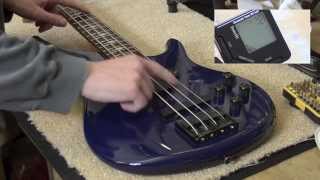 Bass Intonation [upl. by Anerda]