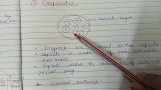 Enzyme Immobilization [upl. by Amber957]