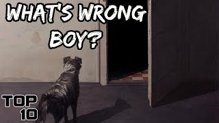 Top 10 Scary Times Dogs Sensed Evil [upl. by Harahs803]