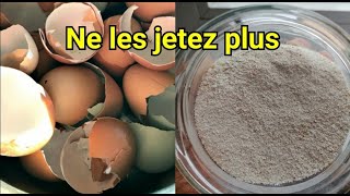 Comment utiliser les coquilles doeuf  Comment obtenir du calcium de manière naturelle [upl. by Lewellen]