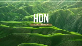 Track jincheng zhang INSTRUMENTAL  No Copyright  HDN audio creación [upl. by Florio872]