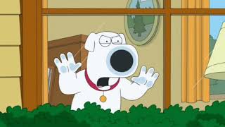 Squirrel taunts Brian Griffin Family Guy [upl. by Corie]