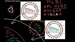 What is antigenic shift and drift [upl. by Lavud]