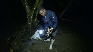 Catching Land Crabs at Night Catch amp Cook🇫🇯 [upl. by Eimmit220]