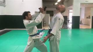 Goshin Jitsu kata Jujitsu traditionnel [upl. by Kimitri]