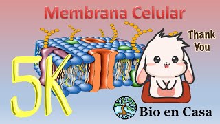 TODO sobre Membrana celular [upl. by Kirtley591]