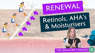 Using Retinols AHAs amp Moisturisers To Renew Your Skin The Skincare Pyramid Pt2 [upl. by Derfnam255]