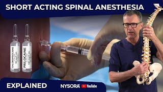 Mastering ShortSpinal Anesthesia WHY WHEN HOW [upl. by Narmi]