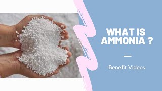 What Is Ammonia [upl. by Annailuj]