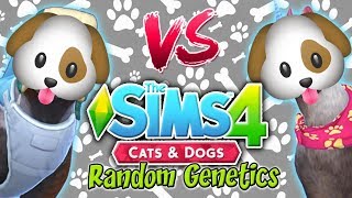 can i make a sim using ONLY random genetics in sims 4 [upl. by Blanca]