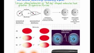 Interparticle Forces [upl. by Braasch]