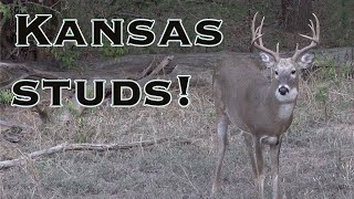 quotWhy Isnt He Shootingquot  Kansas Studs [upl. by Ozzie]