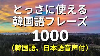 とっさに使える・韓国語会話フレーズ1000 韓国語聞き流し [upl. by Hakilam]