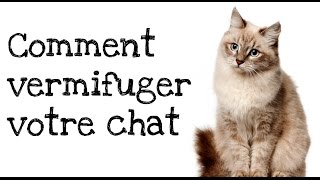 Comment vermifuger votre chat [upl. by Anaoj364]