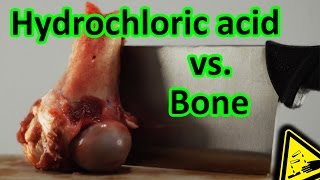 Hydrochloric Acid vs Bone total decomposition 🍖 [upl. by Veda]