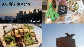 Day 21  So Much Vegan Food amp Beautiful NY [upl. by Esteban]