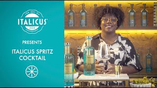 Ep5  ITALICUS SPRITZ COCKTAIL with LP OBrien [upl. by Sixele]