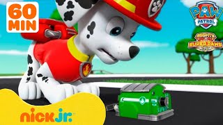 Patrulha Canina em Português Brasil Desenhos  Sky Chase Everest Salvam o Ryder l Nick Jr HD [upl. by Rawde]