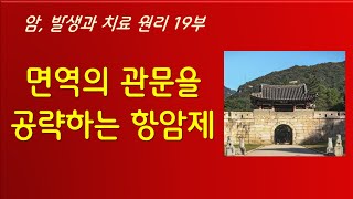 면역의 관문을 공략하는 항암제 암 발생과 치료 원리 19부 ㅡ 엄 박사의 생명과학 이야기 [upl. by Ronym667]