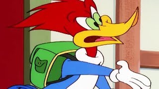 Woody Woodpecker Show  Inn Trouble  1 Hour Compilation  Cartoons For Children [upl. by Hadias]