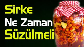 Sirke ne zaman süzülmeli  Sirke nasıl süzülür [upl. by Fina]