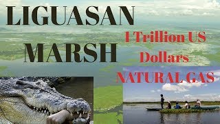 Liguasan Marsh review 2019 Must Watch [upl. by Kim]