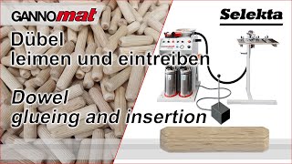 GANNOMAT Selekta  Dübeleintreibgerät  Handheld glue and dowel inserter [upl. by Bilicki]