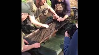 Scott Lloyd carp fishing the Burghfield Common 62lb 8oz [upl. by Nonnaihr233]