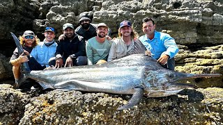 176kg Landbased Black Marlin  Unofficial World Record Fish [upl. by Rog]