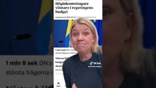 Vad ska man säga om regeringens budget Not very mindfull not very demure [upl. by Yevre]