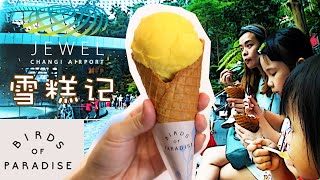 SG Vlog EP45  Shvonne vlogs Birds Of Paradise Gelato 雪糕记 at Jewel Changi Airport [upl. by Hamian332]