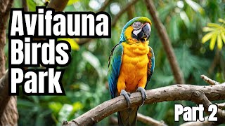 Discover Hidden Gems in Avifauna Vogelpark  Netherlands  Part 2 in Tamil [upl. by Rosmunda]