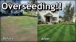 How To OVERSEED Your Lawn in SPRING  Complete Step by Step Guide [upl. by Swanhildas733]