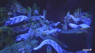 4K Tokyo Disney Submarine Ride  20000 Leagues Under the Sea Ride  Tokyo DisneySea [upl. by Airdnalahs]