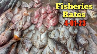 Karachi Fisheries Latest Rates  کراچی فشری آج کے ریٹ fishprices fishrates karachifisheries [upl. by Himelman]