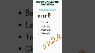 Names of spirochetes  How to memorize spirochetes bacteriology microbiology bacteria [upl. by Anne]