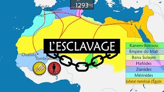 Lhistoire de lesclavage  Résumé sur cartes [upl. by Adnert487]