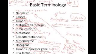 Introduction to Cancer [upl. by Deach]